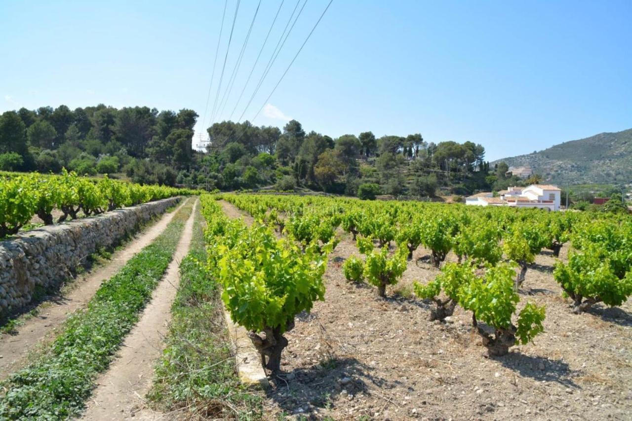 Bed & Breakfast Casa Mistela Jalon